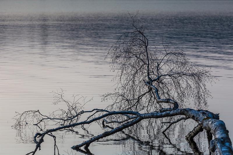 2018_02_24_Lac des Settons (0076).jpg - Lac des Settons (Février 2018)